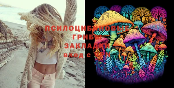 прущие грибы Горно-Алтайск