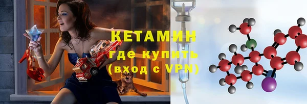 прущие грибы Горно-Алтайск