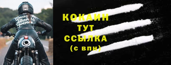 прущие грибы Горно-Алтайск