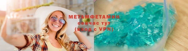 прущие грибы Горно-Алтайск