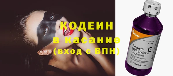 прущие грибы Горно-Алтайск