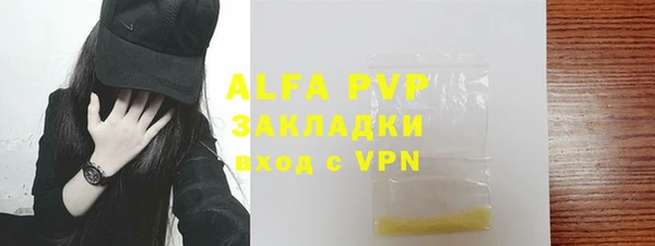 прущие грибы Горно-Алтайск