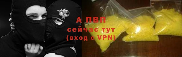 прущие грибы Горно-Алтайск