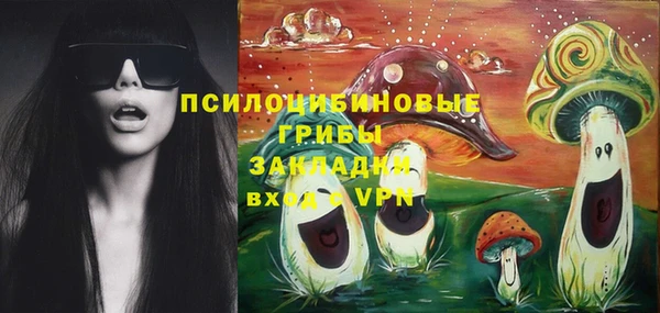 дживик Горнозаводск