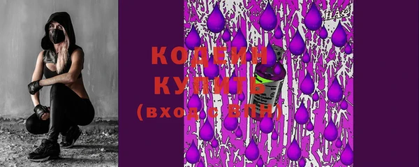 прущие грибы Горно-Алтайск
