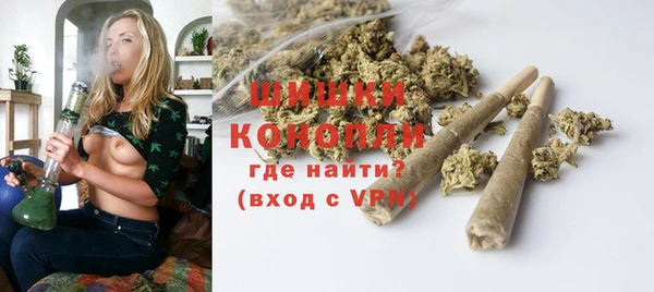 дживик Горнозаводск