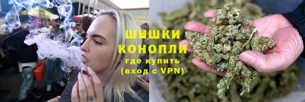 прущие грибы Горно-Алтайск